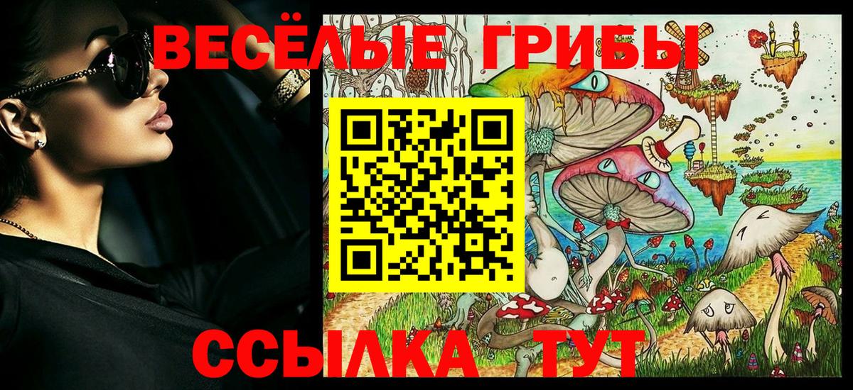 Псилоцибиновые грибы Psilocybe  Вход с VPN  Псилоцибиновые грибы мицелий  Железногорск 