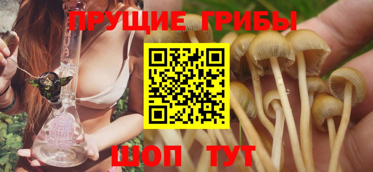 Галлюциногенные грибы мухоморы Железногорск